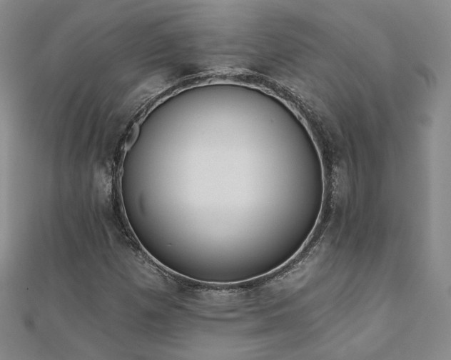 X0000110901257200906181316