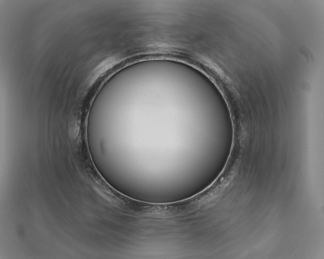 X0000110901259200906181315