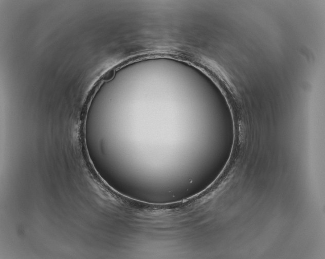X0000110901260200906181315
