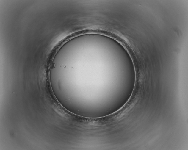 X0000110901263200906181315