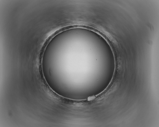 X0000110901264200906181315