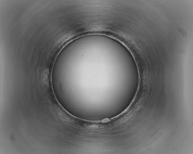 X0000110901265200906181315