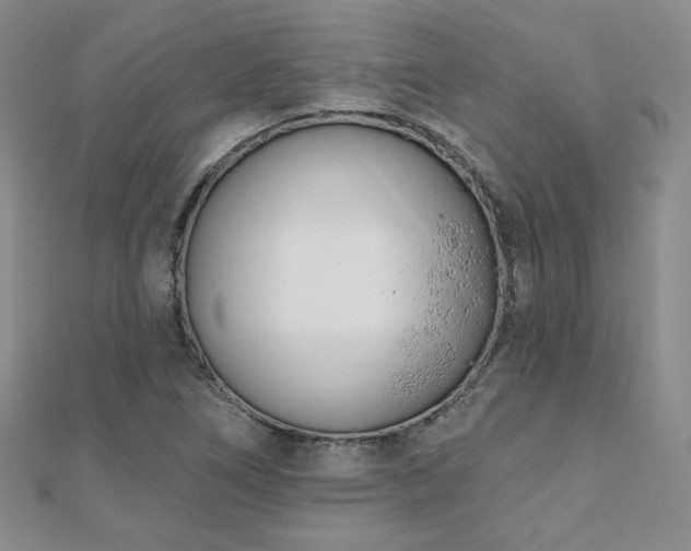 X0000110901266200906181315