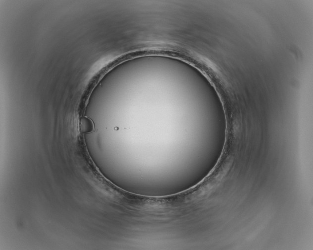 X0000110901267200906181315