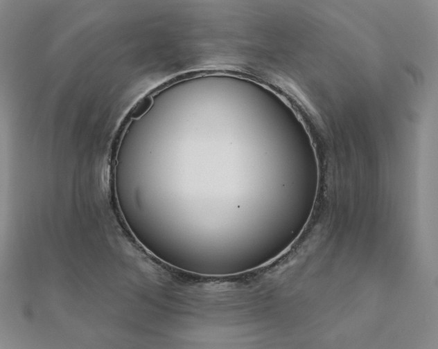 X0000110901268200906181315