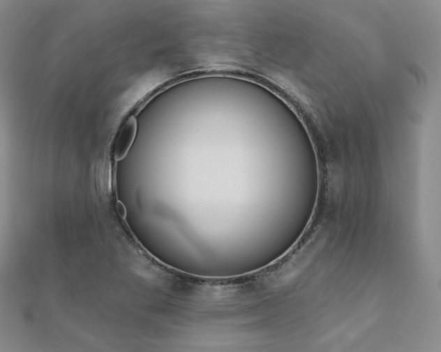 X0000110901269200906181315