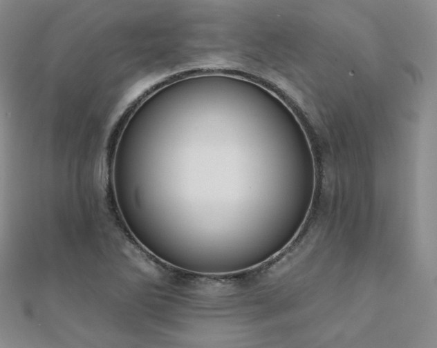 X0000110901270200906181315