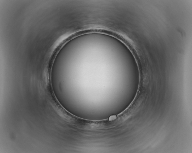 X0000110901271200906181315