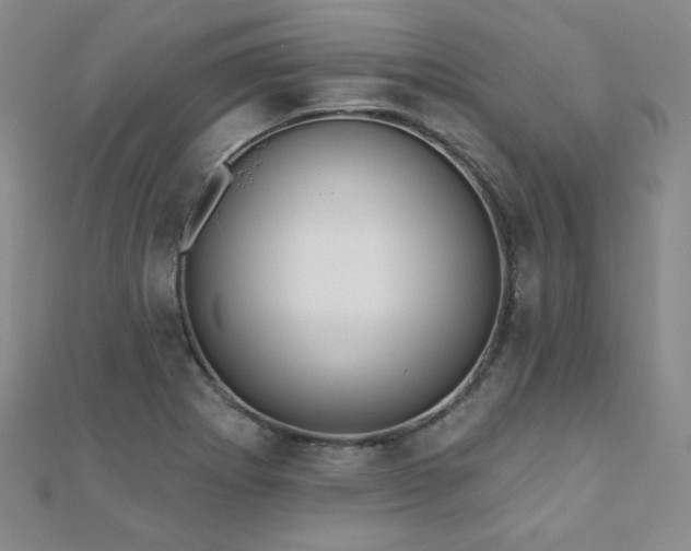 X0000110901273200906181315