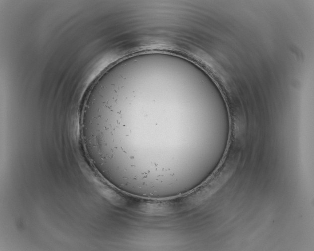 X0000110901274200906181315
