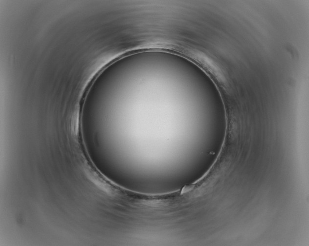 X0000110901276200906181315