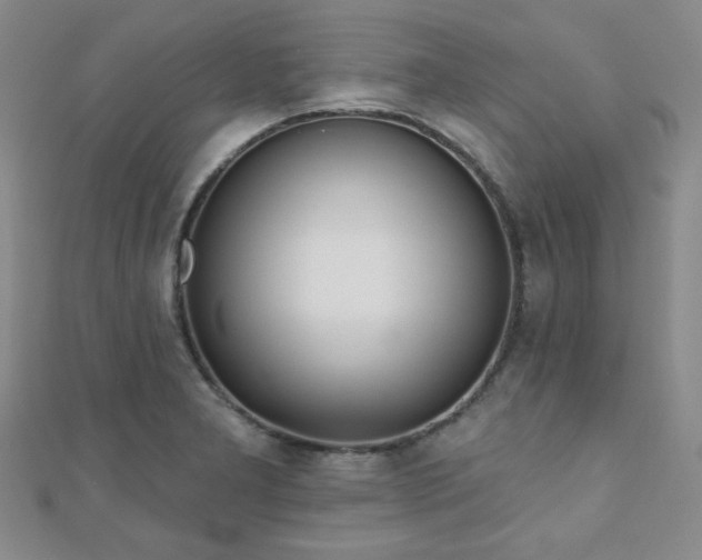 X0000110901277200906181315