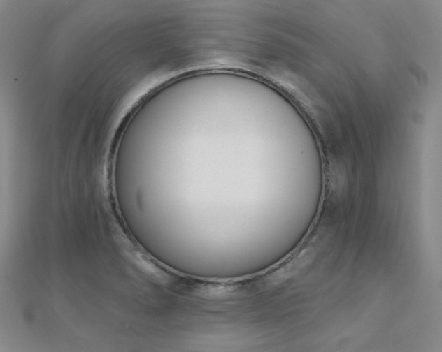 X0000110901278200906181315
