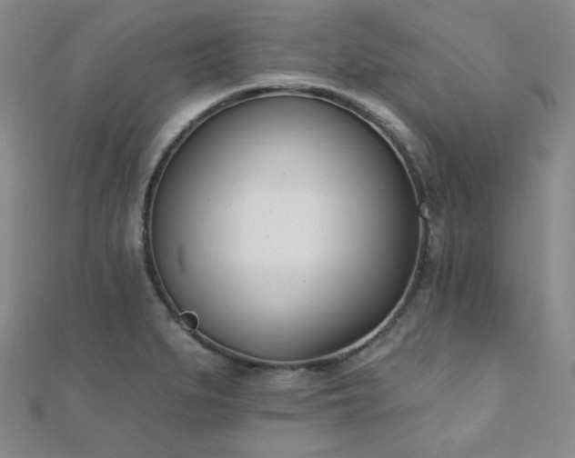 X0000110901279200906181315
