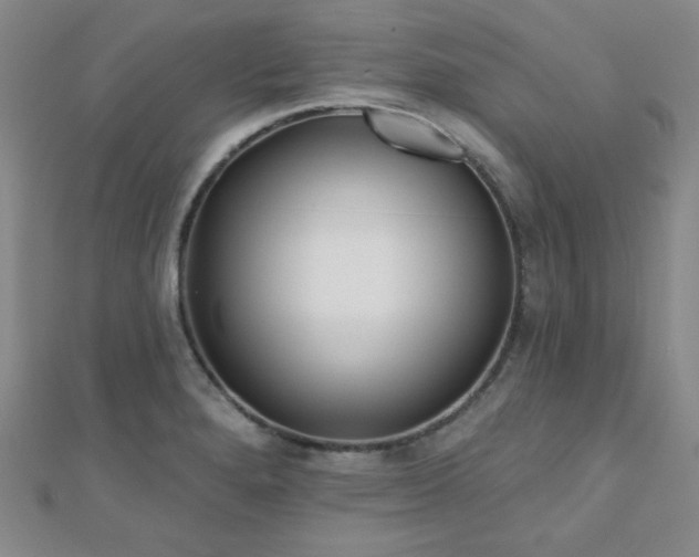 X0000110901280200906181315