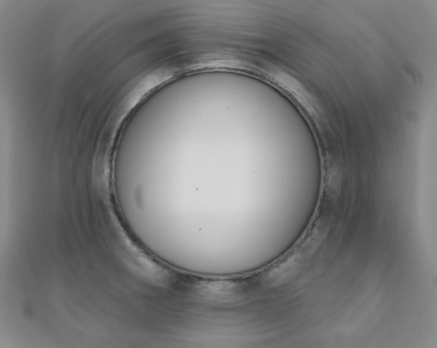 X0000110901282200906181315