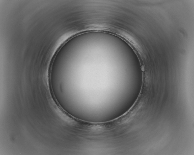 X0000110901283200906181315
