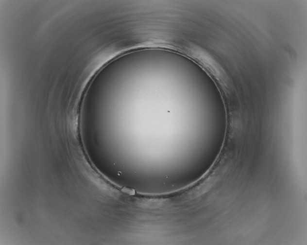 X0000110901284200906181315