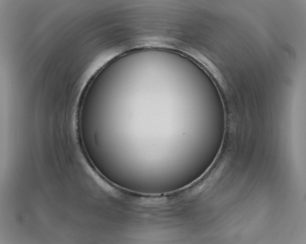 X0000110901285200906181315