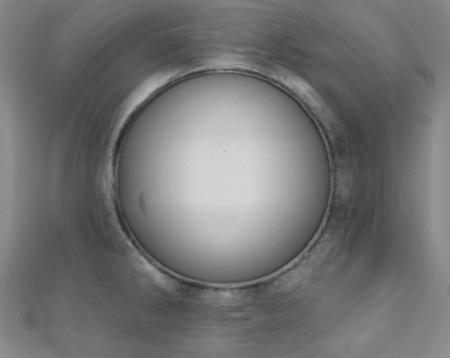 X0000110901286200906181315