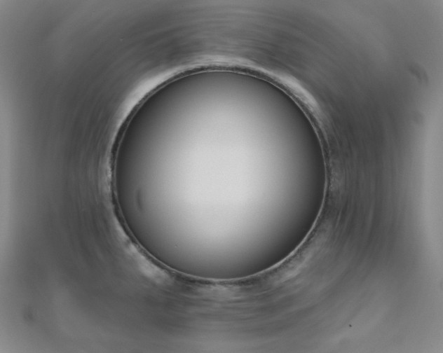 X0000110901287200906181315