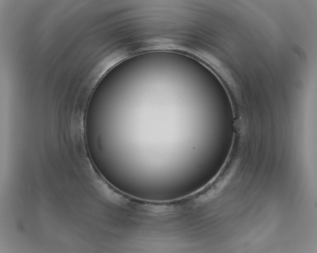 X0000110901289200906181315