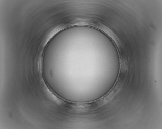 X0000110901290200906181315