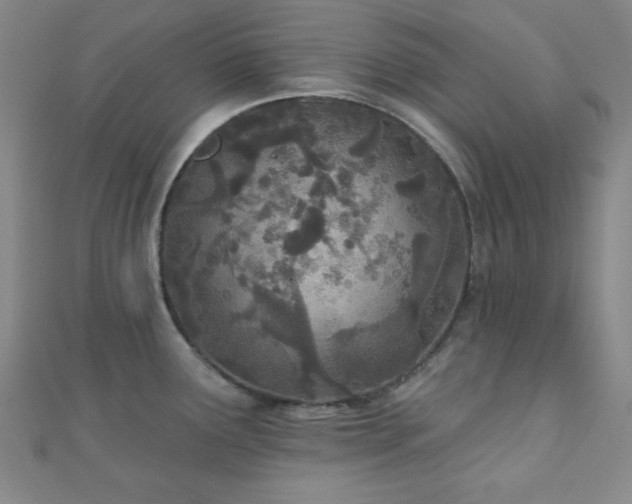X0000110901291200906181315