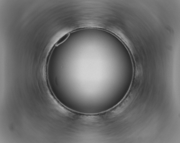 X0000110901293200906181315