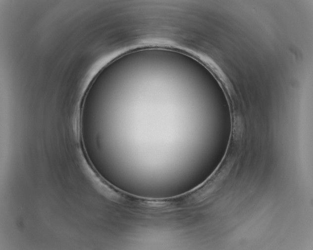 X0000110901295200906181315