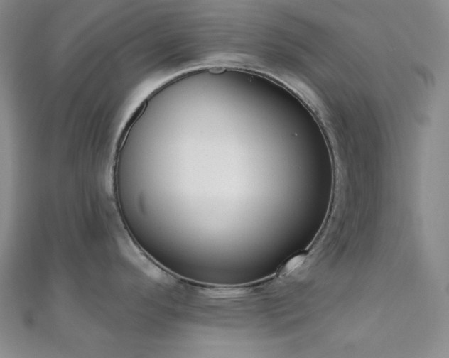 X0000110901296200906181315