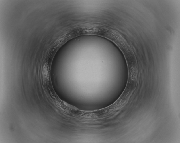 X0000110901298200906181314
