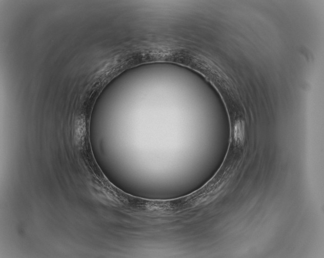 X0000110901299200906181314