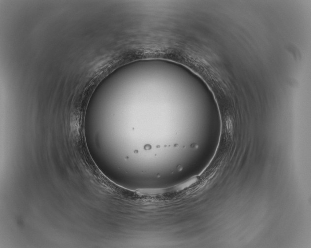 X0000110901300200906181314