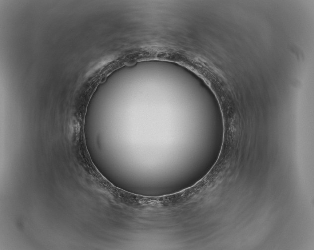 X0000110901302200906181314