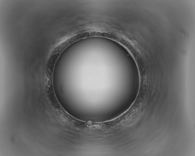 X0000110901303200906181314