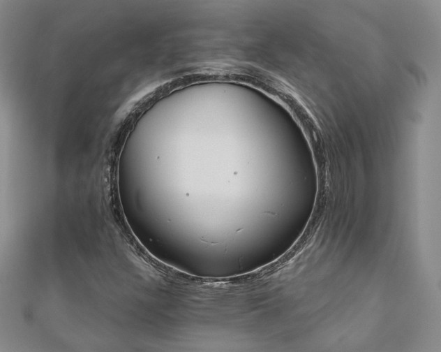 X0000110901304200906181314