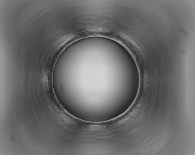 X0000110901305200906181314