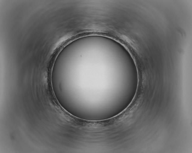 X0000110901307200906181315