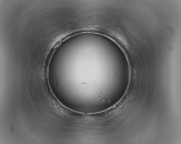 X0000110901308200906181315