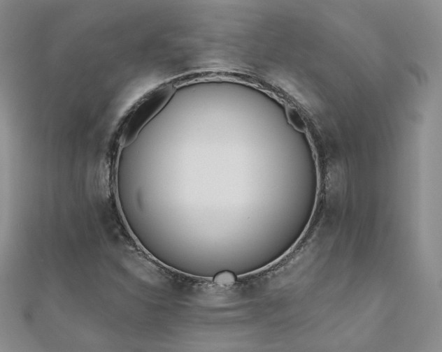 X0000110901310200906181315