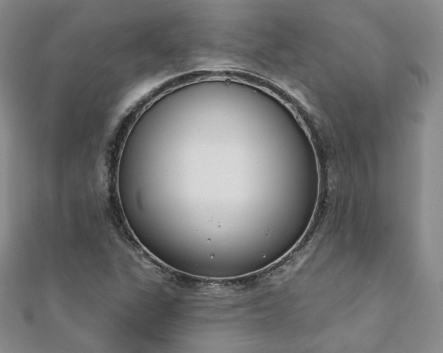 X0000110901311200906181315