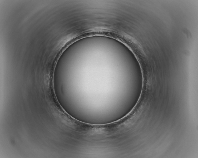 X0000110901313200906181315