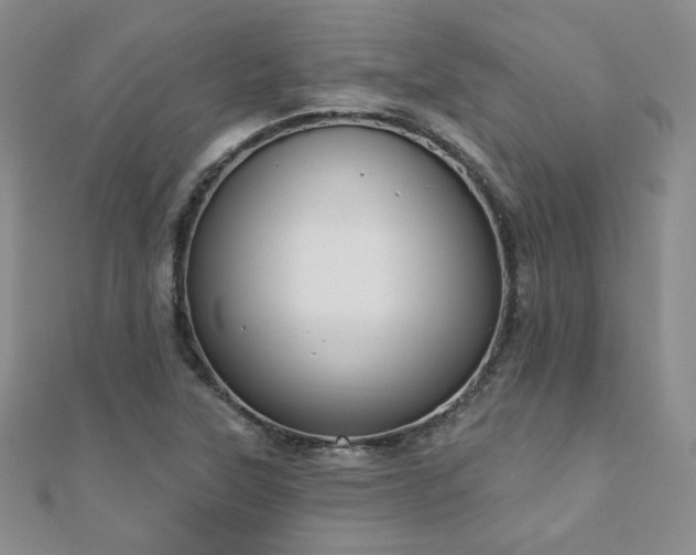 X0000110901315200906181315