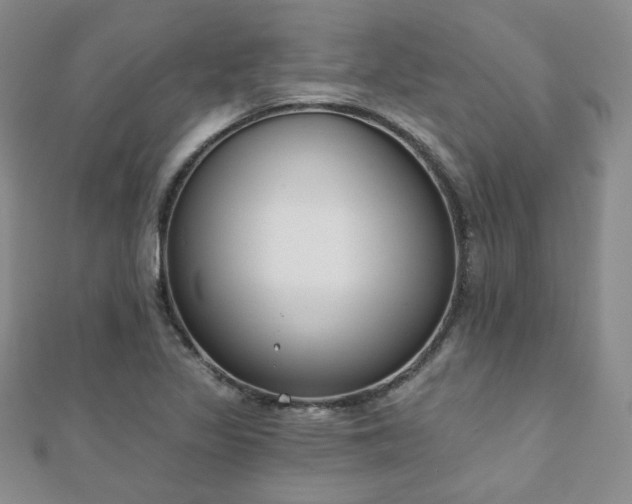 X0000110901317200906181315