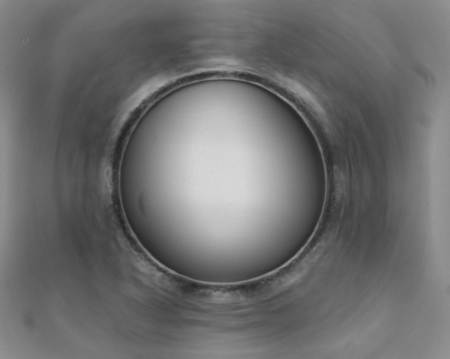 X0000110901318200906181315