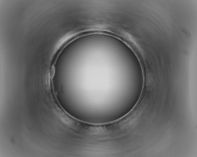 X0000110901320200906181315