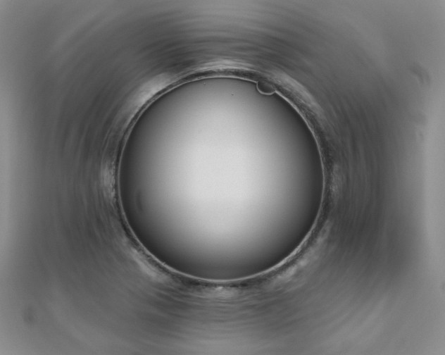 X0000110901321200906181315