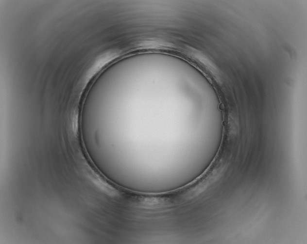 X0000110901322200906181315