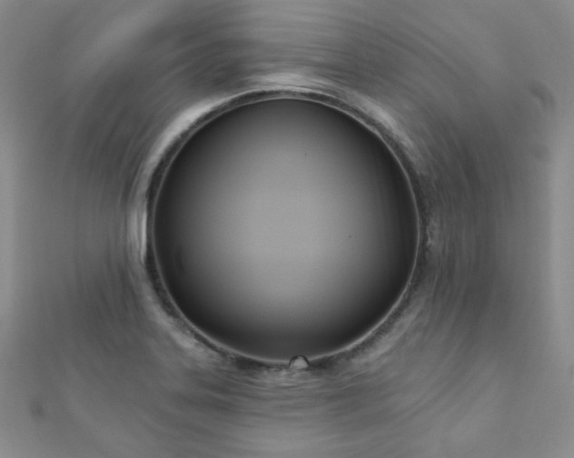 X0000110901323200906181315
